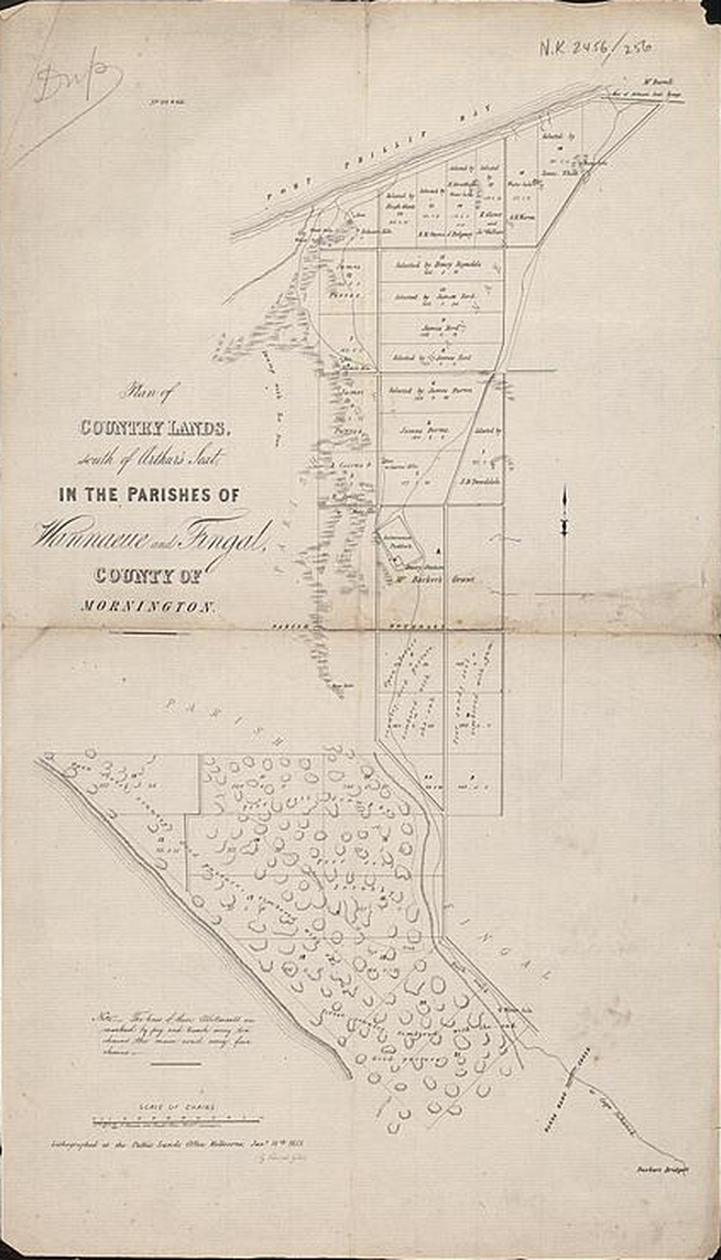 Fingal. boneo,rosebus,old map,map,1858