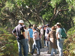 Greening Australia, habitat and conservation management course, HCMC